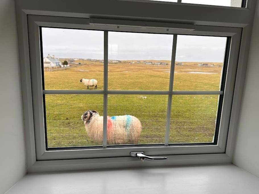 Modern Refurbished Church Nr Butt Of Lewis Beaches Port of Ness Екстериор снимка